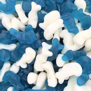 Mini Dolphins