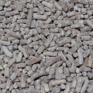 Chocolate Nibbles
